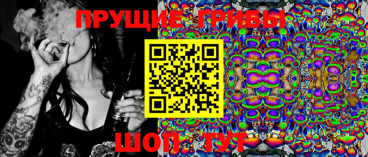 Псилоцибиновые грибы Psilocybe  Вход с VPN  Томск 